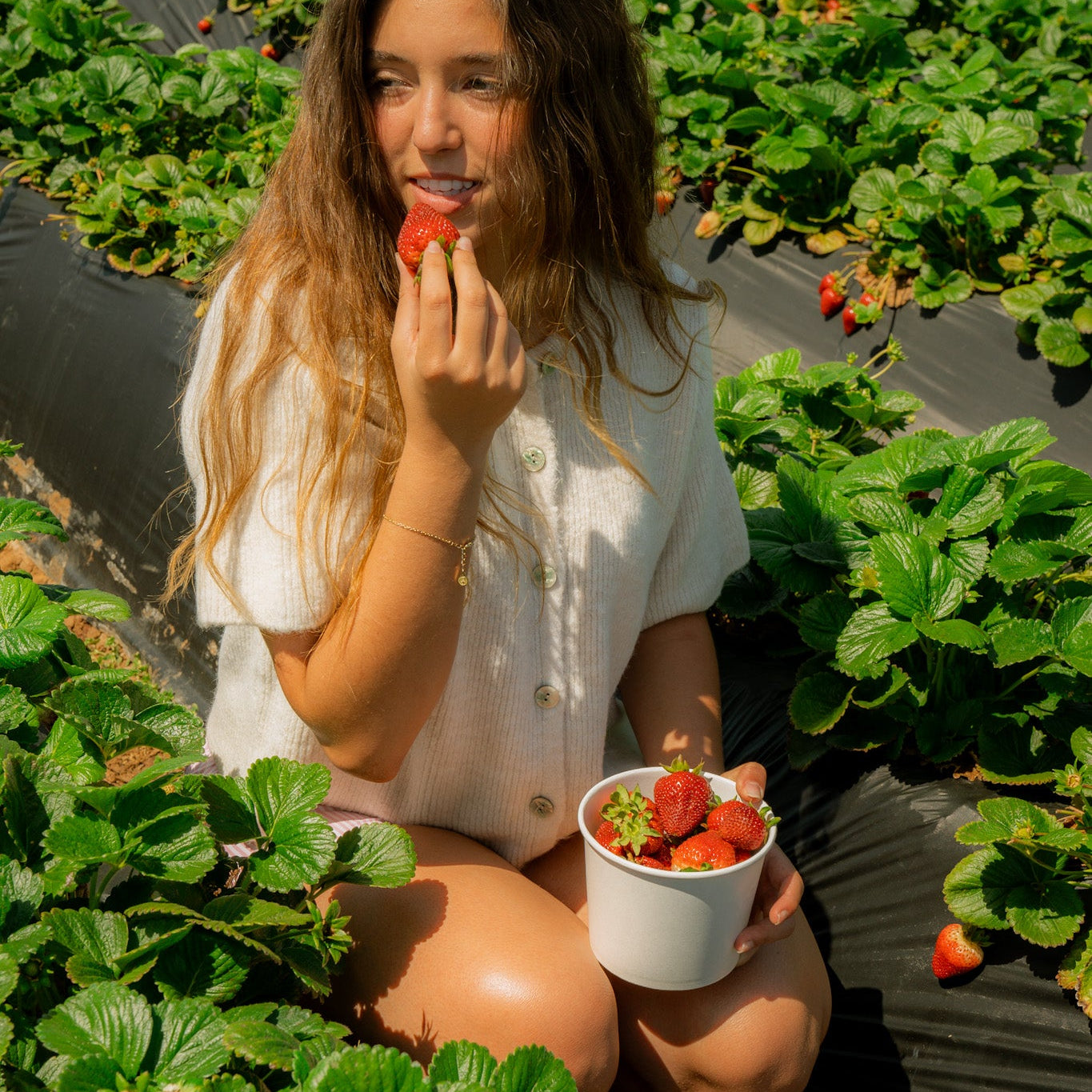 Strawberry Springs